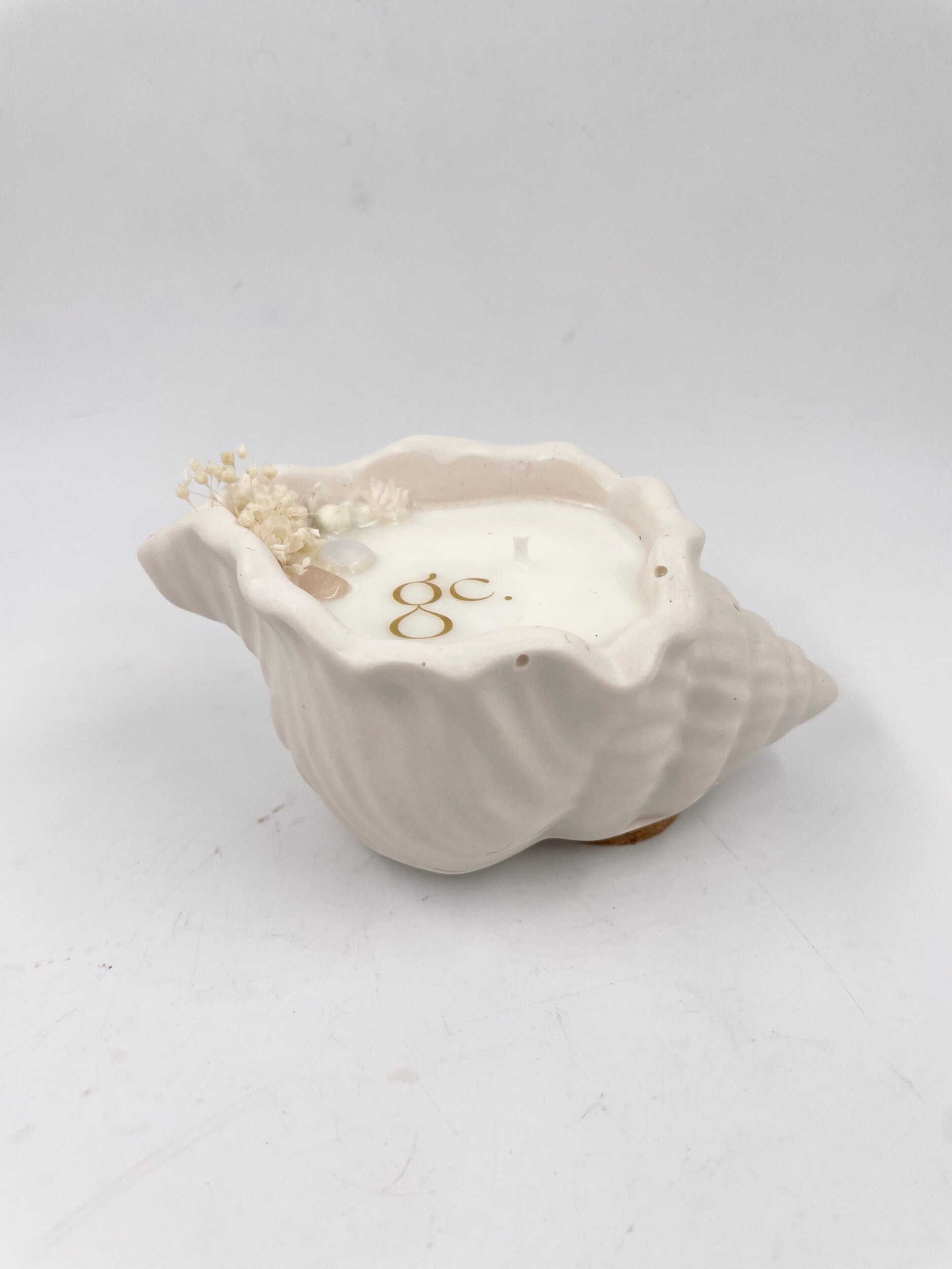 16E70D21-14E7-4E80-8B84-C57B4242753C