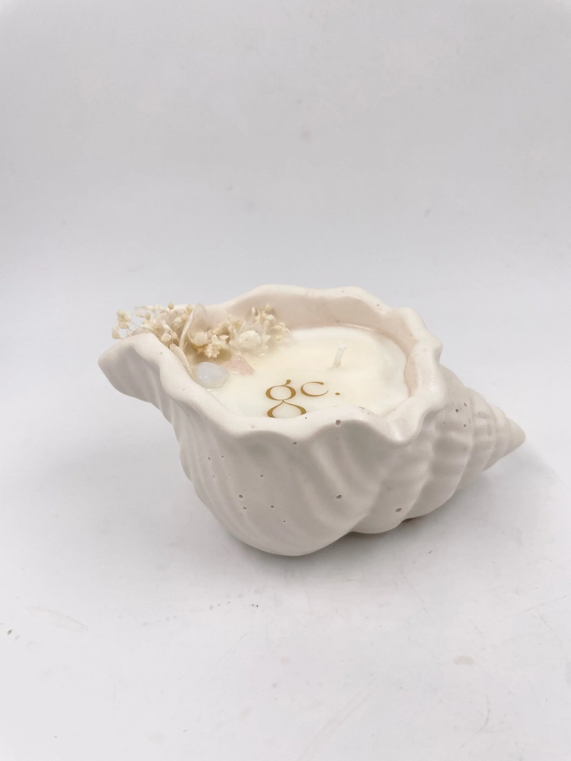 D000243B-39F7-40CB-8F57-B2E3CC5C2204