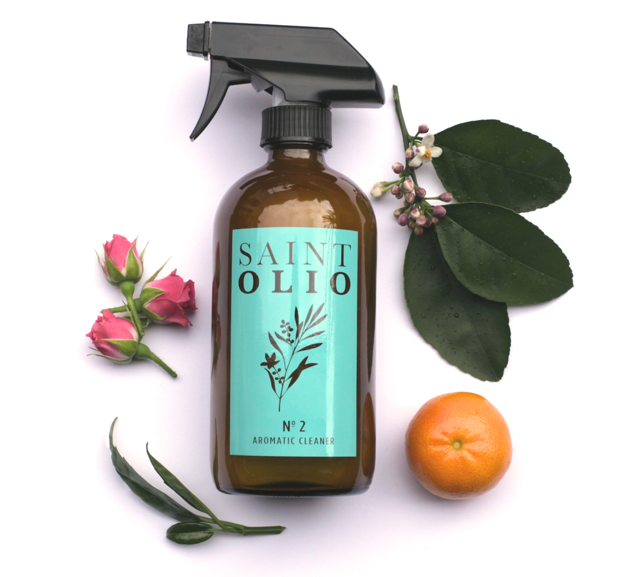 Saint Olio