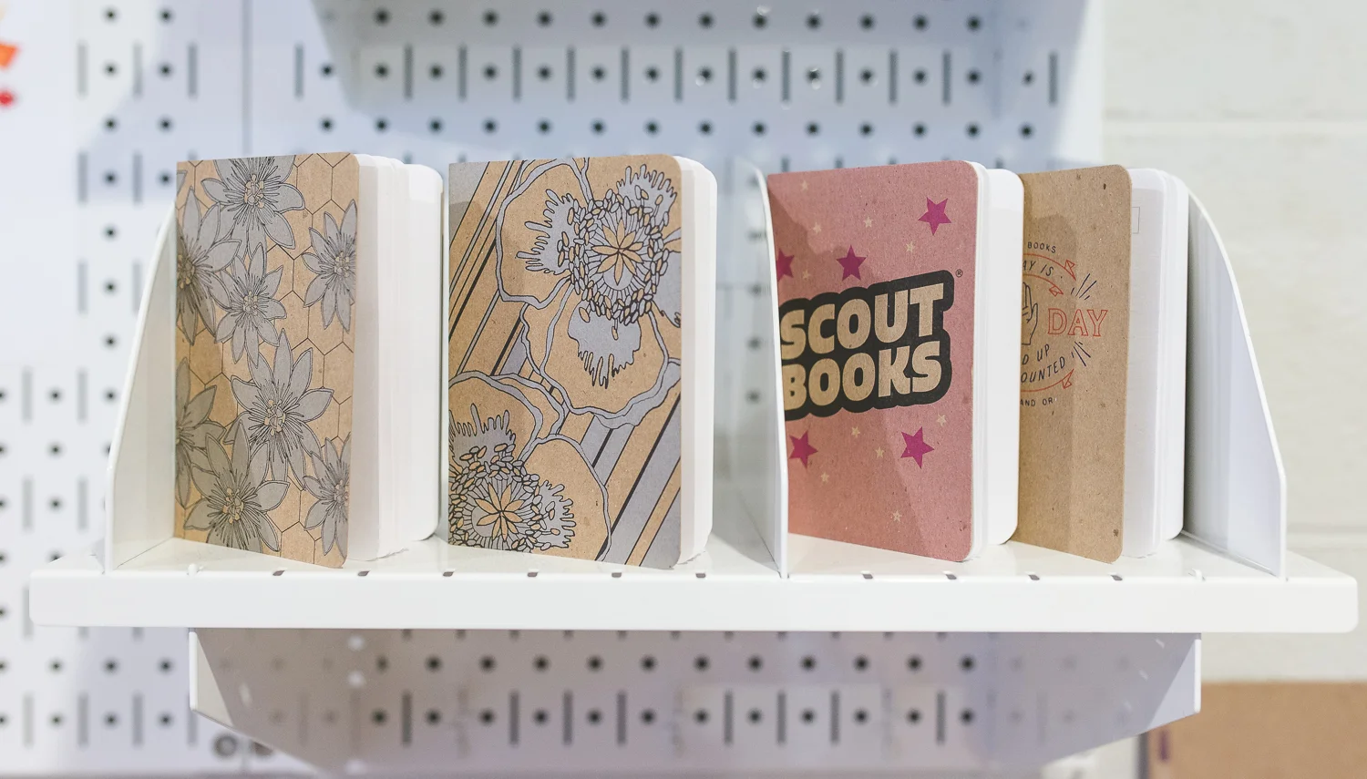 ScoutBooks_55.jpg