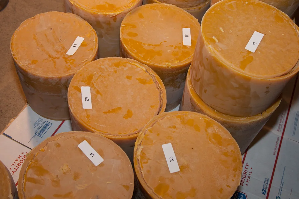 Maker-Meetup,-Portland-Bee-Balm,-Scaling-167.jpg