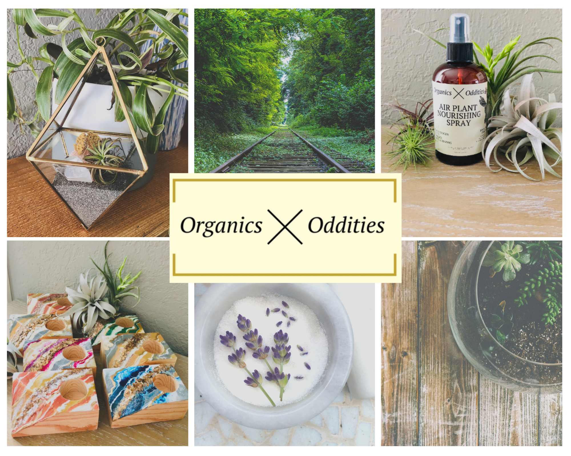Organics X Oddities