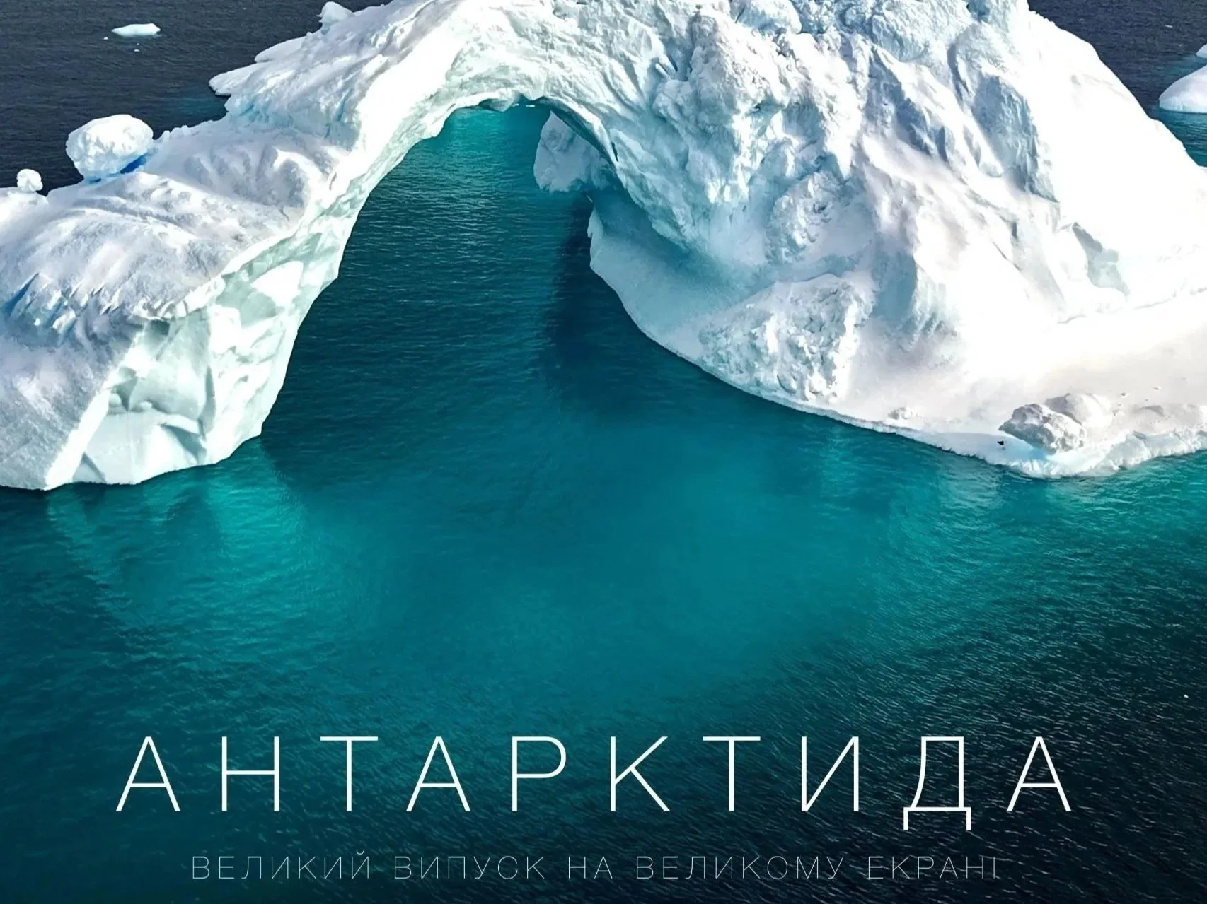 Films About Ecology That Should Be Added on Everyone’s Watchlist