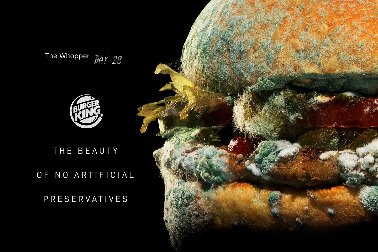 Burger King’s Moldy Whopper is coming… Are we ready?