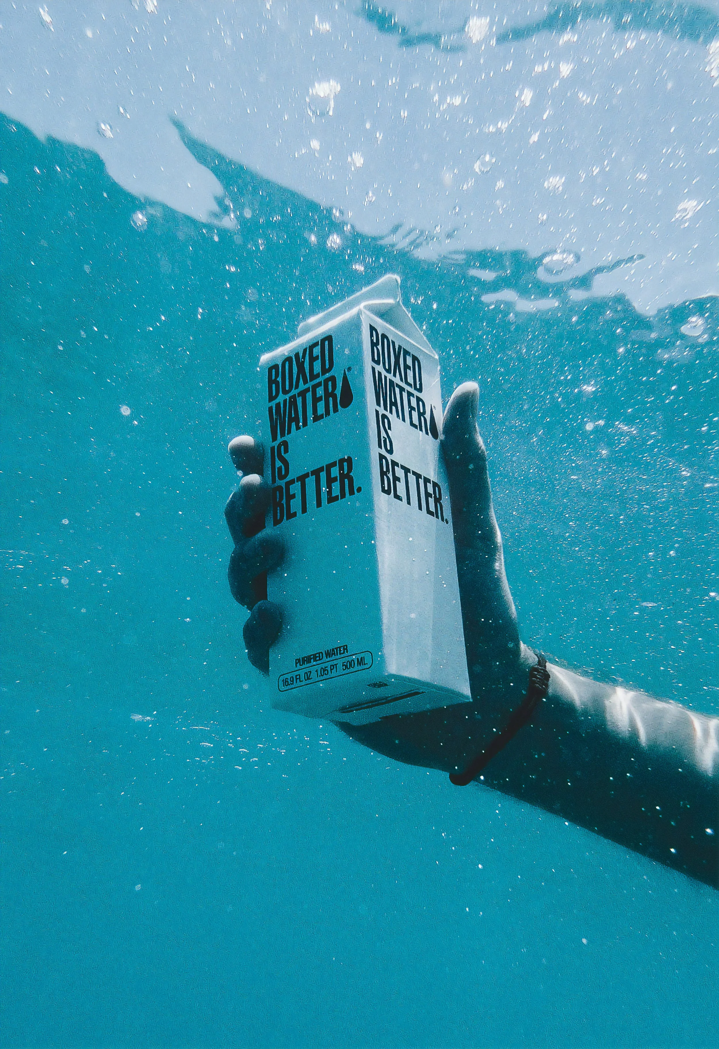 Boxed&nbsp;Water Plants One Million Trees And Is Going For 2 Million