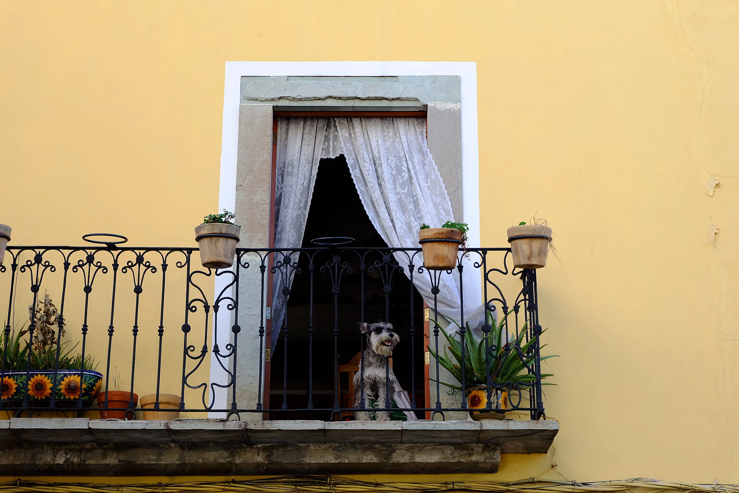 How To Create Your Perfect Balcony Garden This Spring