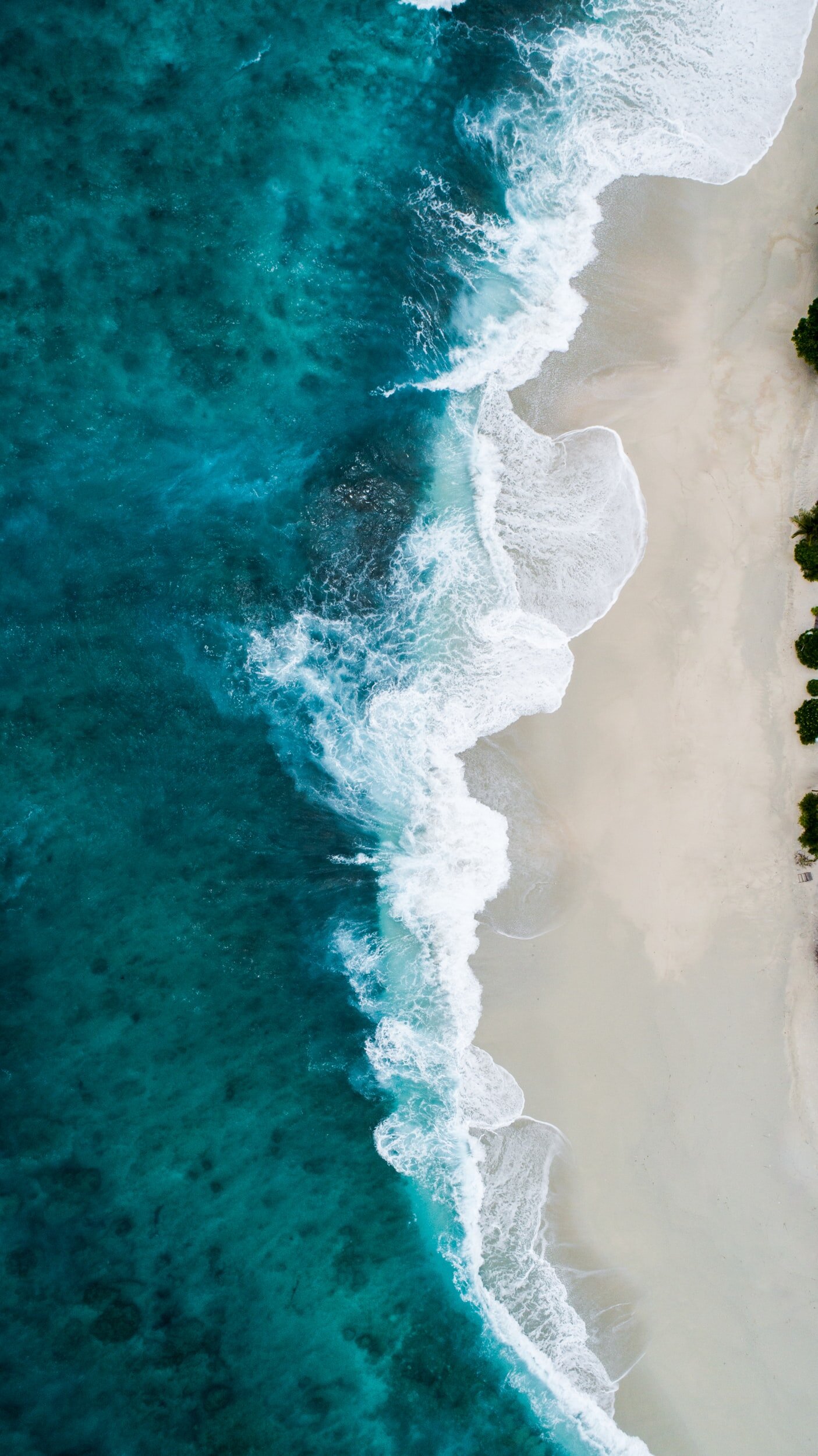 How The Spread Of Microplastics In Oceans Have Been Spotlighted By NASA