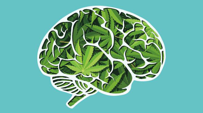 Study About Cannabis And The Brain And How We Can Sustainably Maintain Mental Health