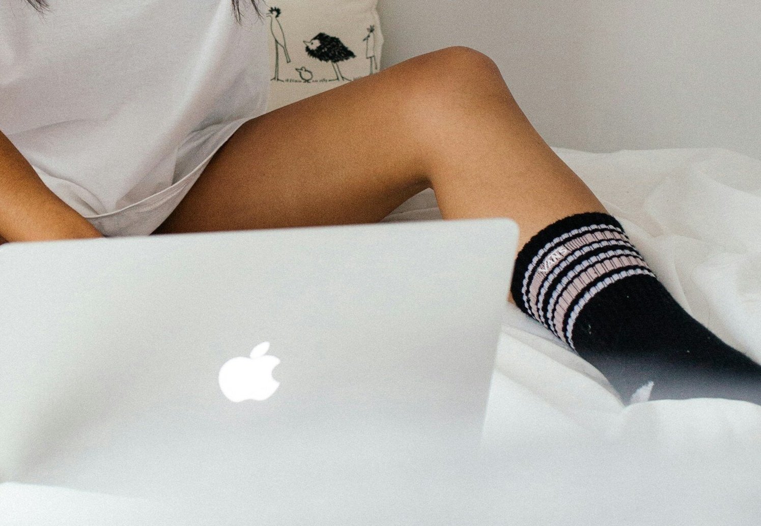 Contributions Of Rising Popularity - Adult Web Cams