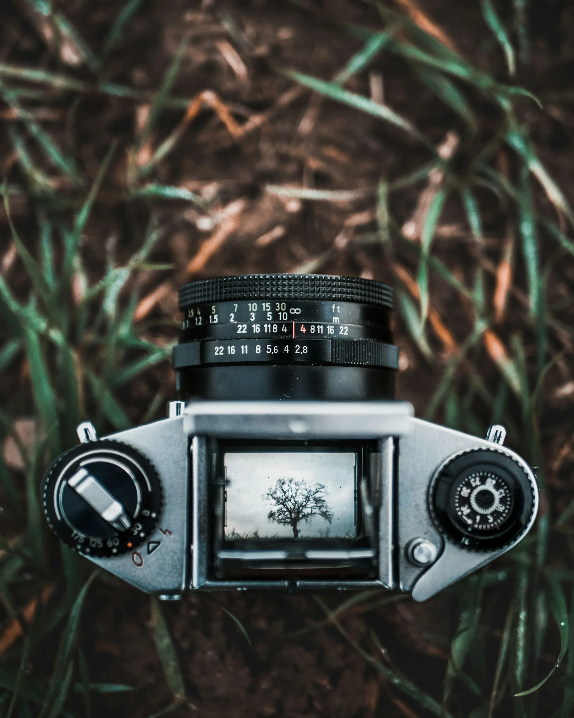 Using Trail Camera Management Software to Improve Bird Tracking