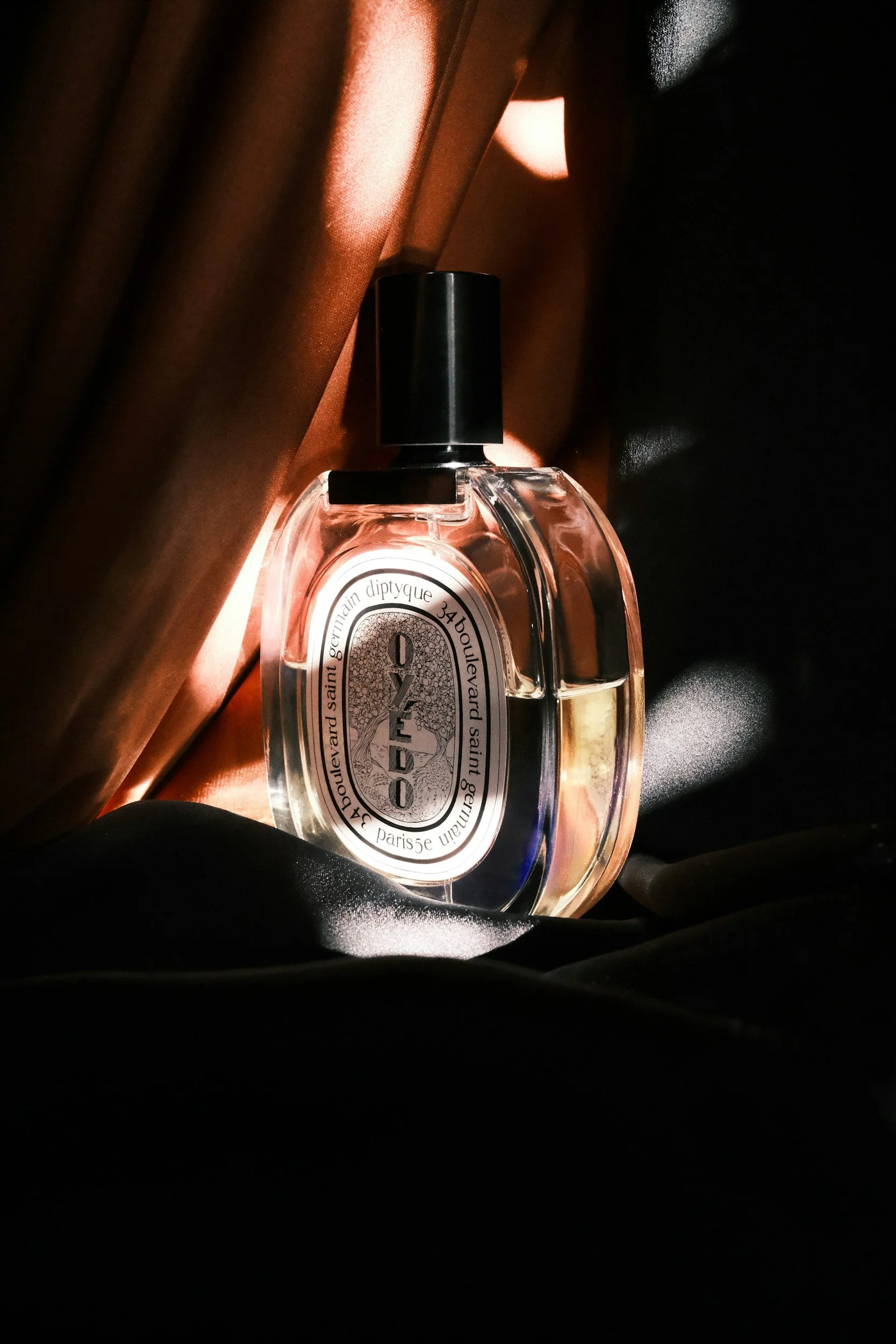 The Best Long-Lasting Perfumes for Every Occasion in 2025