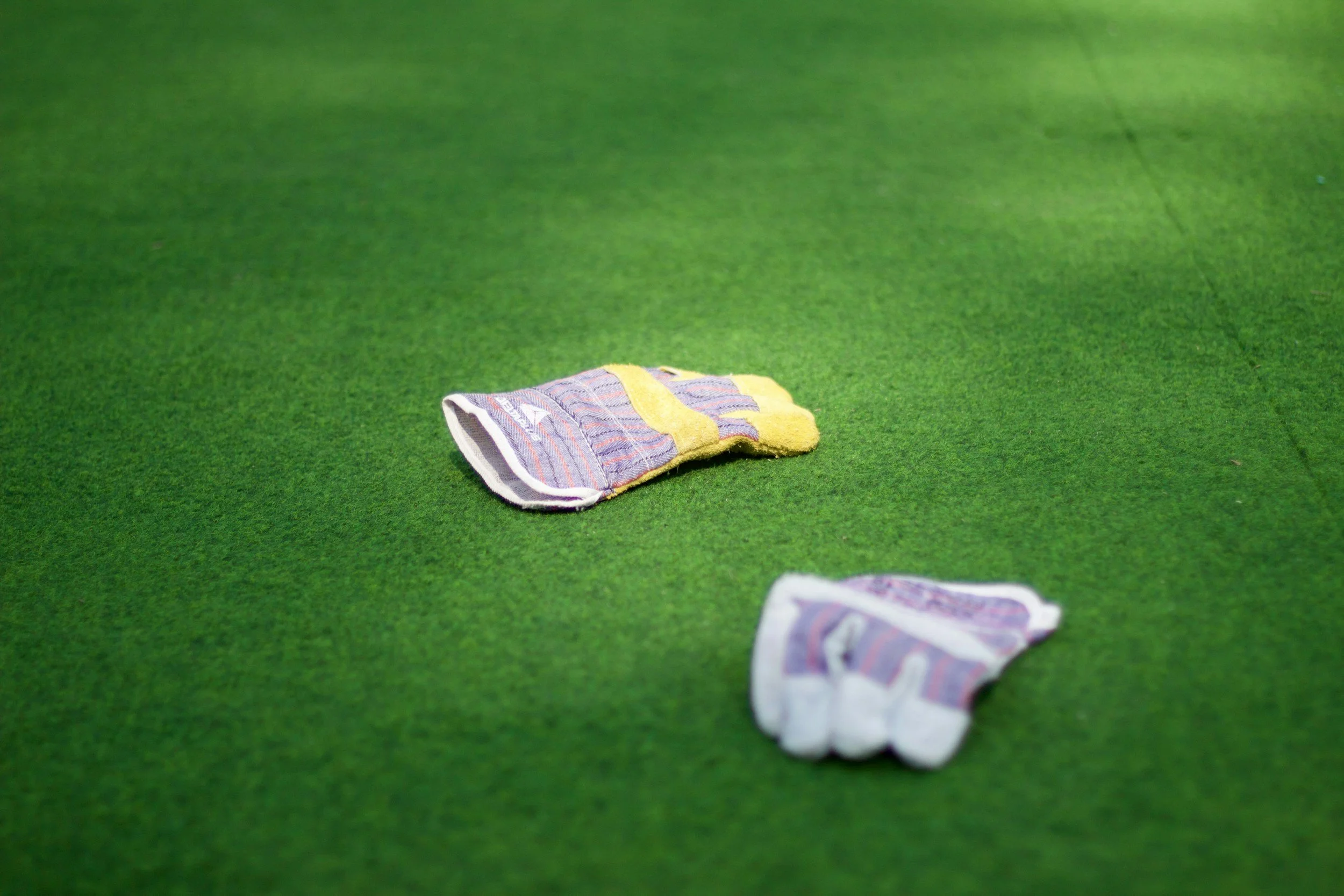 Buffalo Turf: A Low-Maintenance, Green Lawn All Year Round