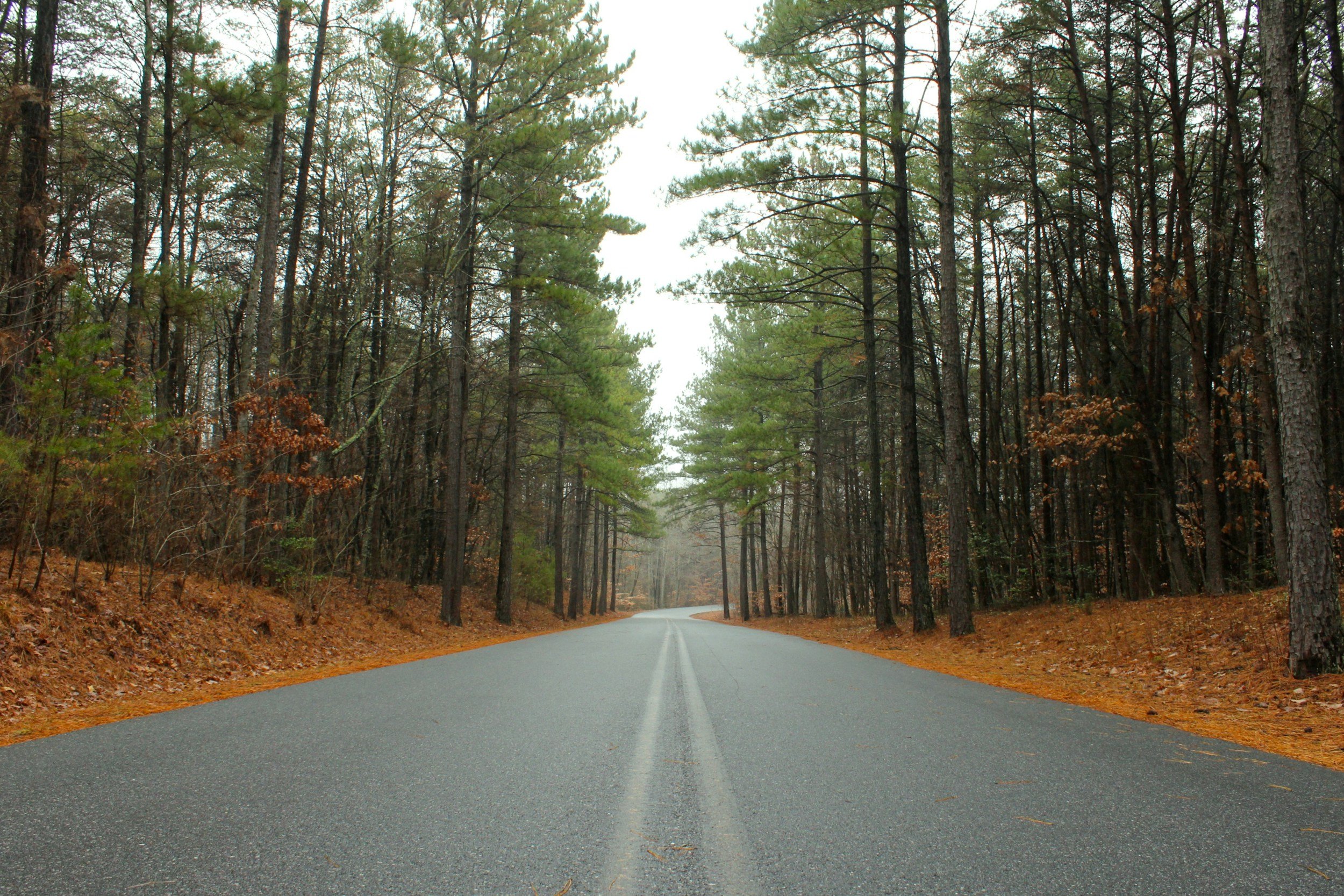 Some Common Types Of Car Accidents Residents Of North Carolina Are Vulnerable To