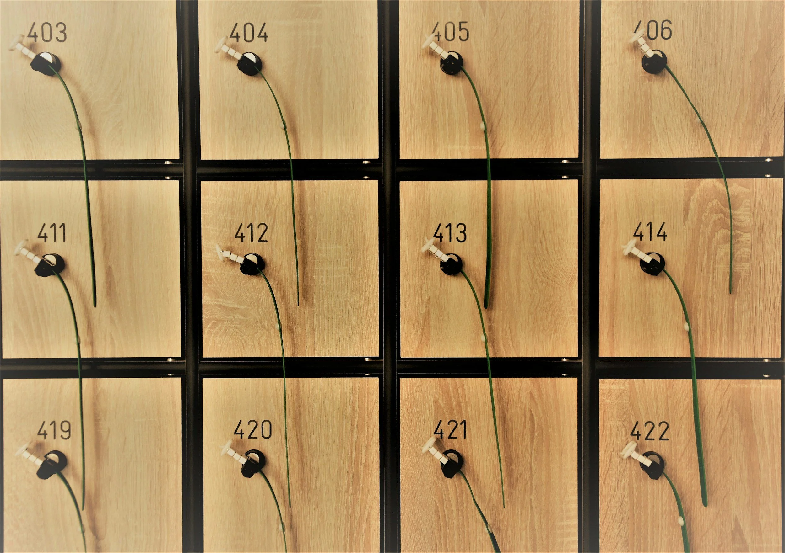 Creative Organization Tips for School and Gym Lockers