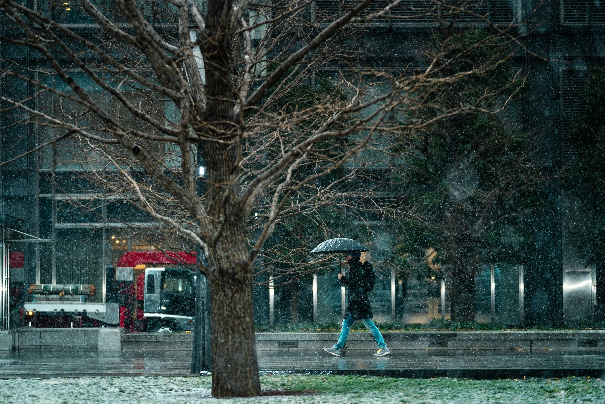 How to Get Used in Japan's Weather