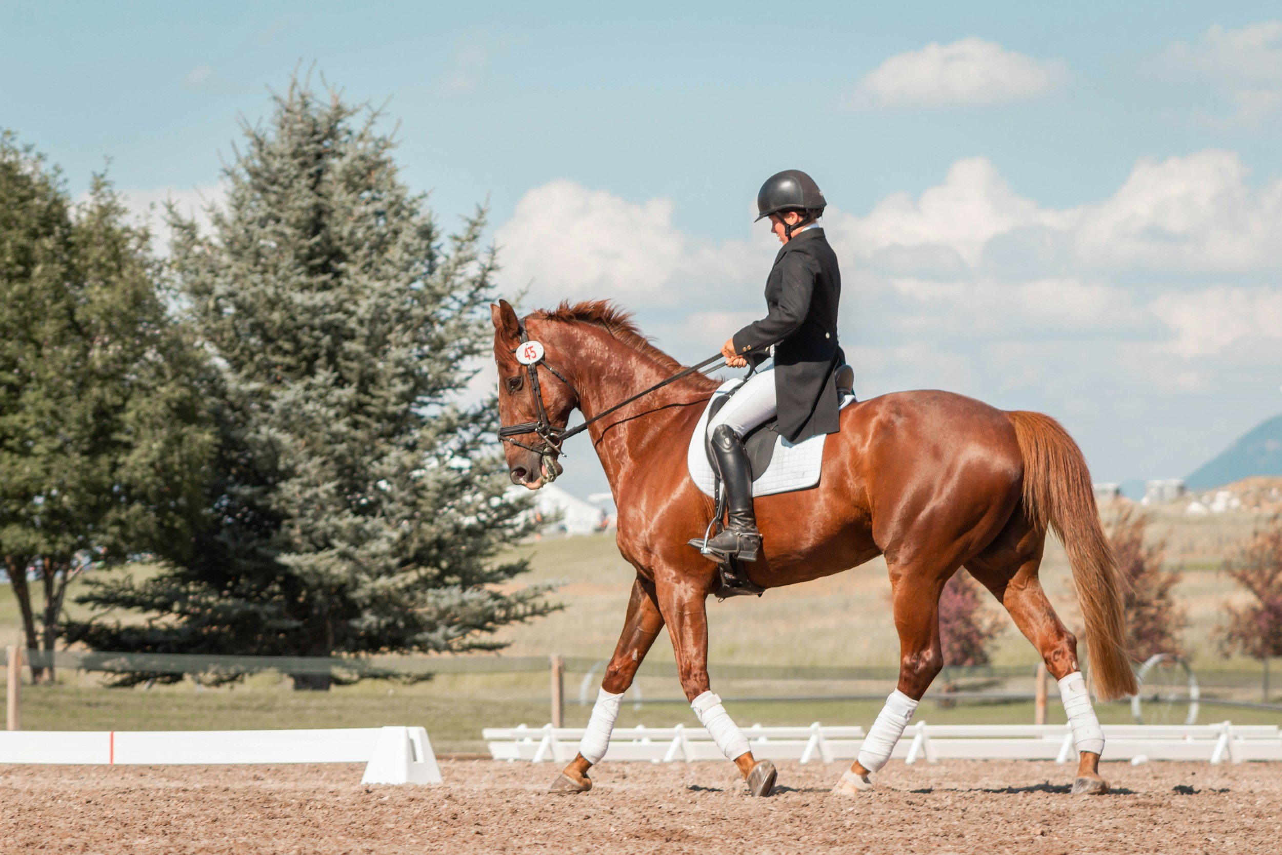Key Pieces of Clothing Every Equestrian Needs for Comfort and Performance