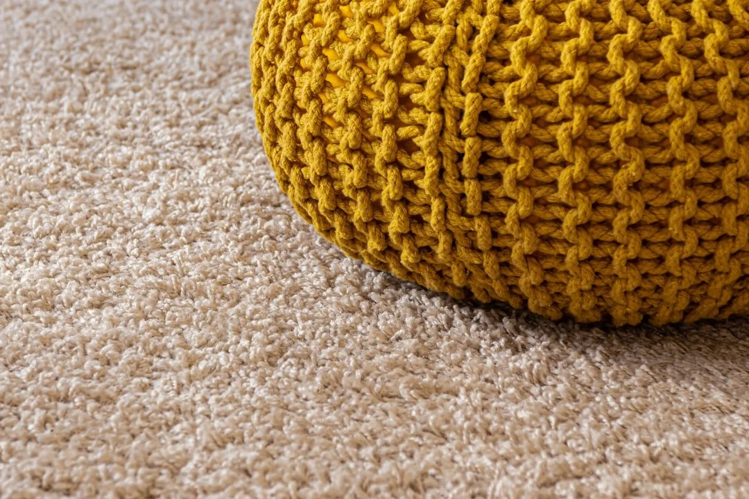 Fresh Floors, Fast Service: Expert Carpet Cleaning That Gets Results
