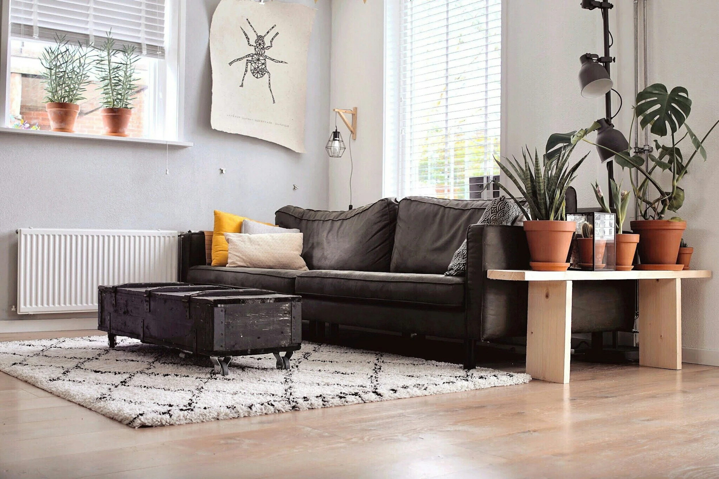 Everything You Need to Know About House Cleaning