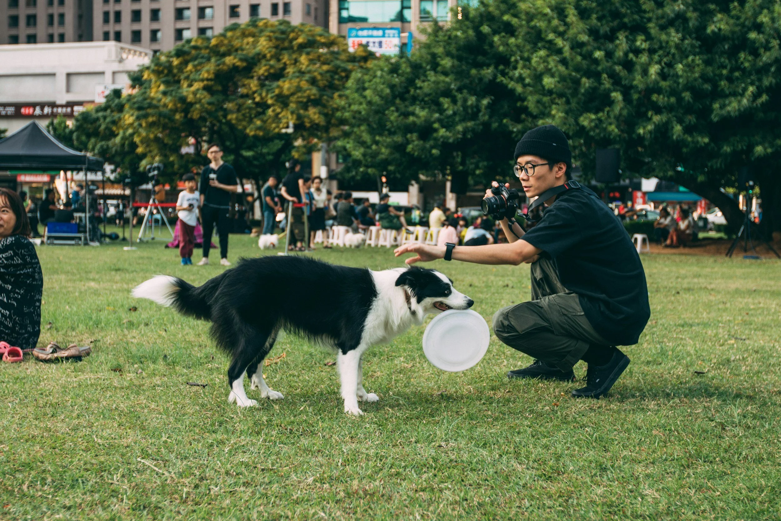 Choosing Your Dog Coach: A Guide to Picking a Professional Dog Trainer  