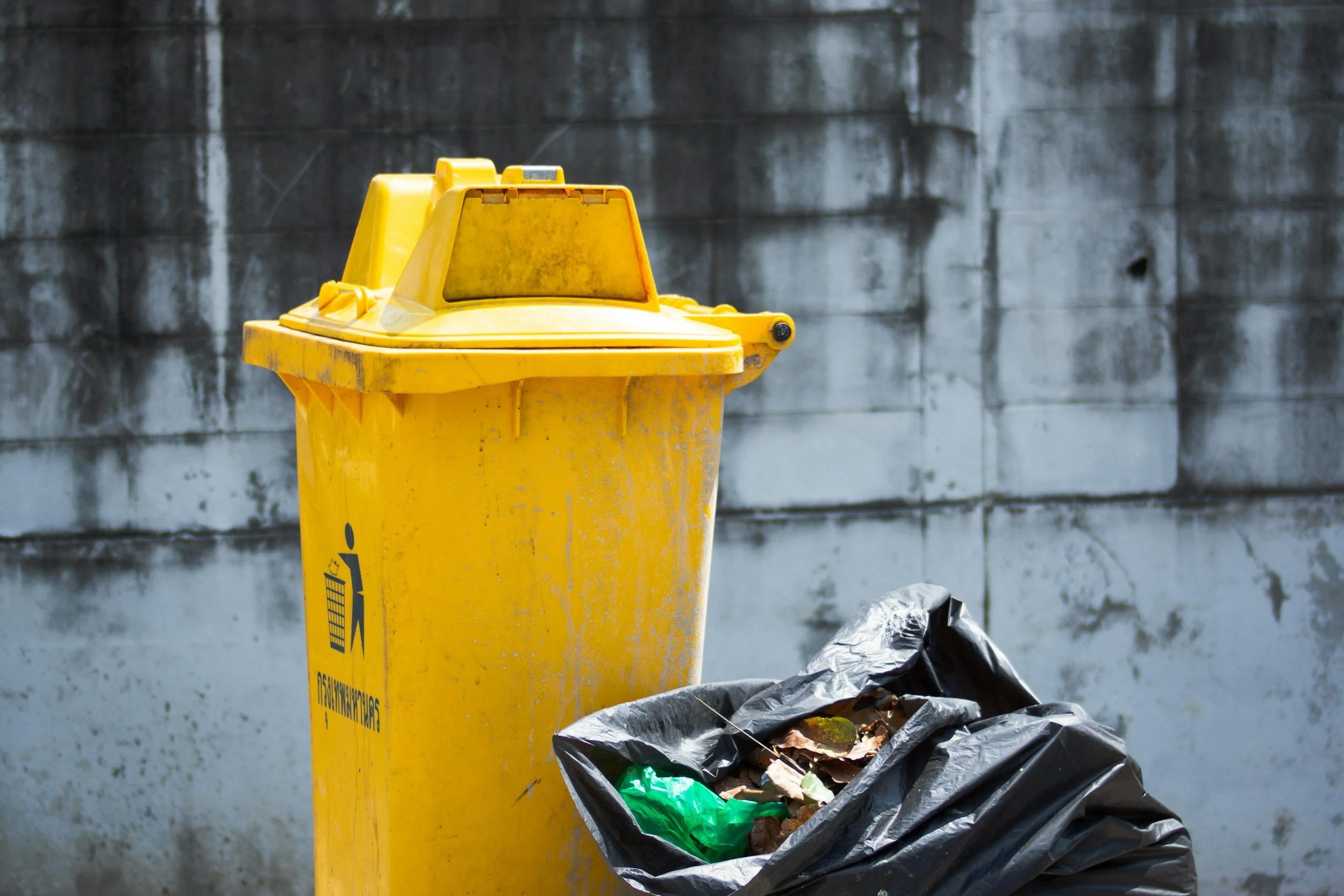 Why Pet Waste Removal Should Be a Non-Negotiable in Every Yard