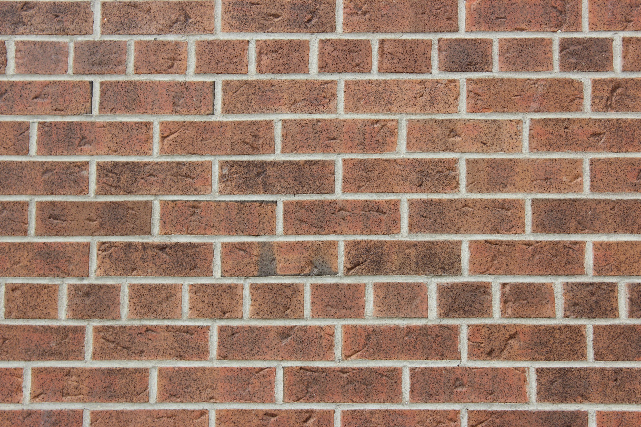 Siding and Style: How Exterior Walls Define Comfort and Character