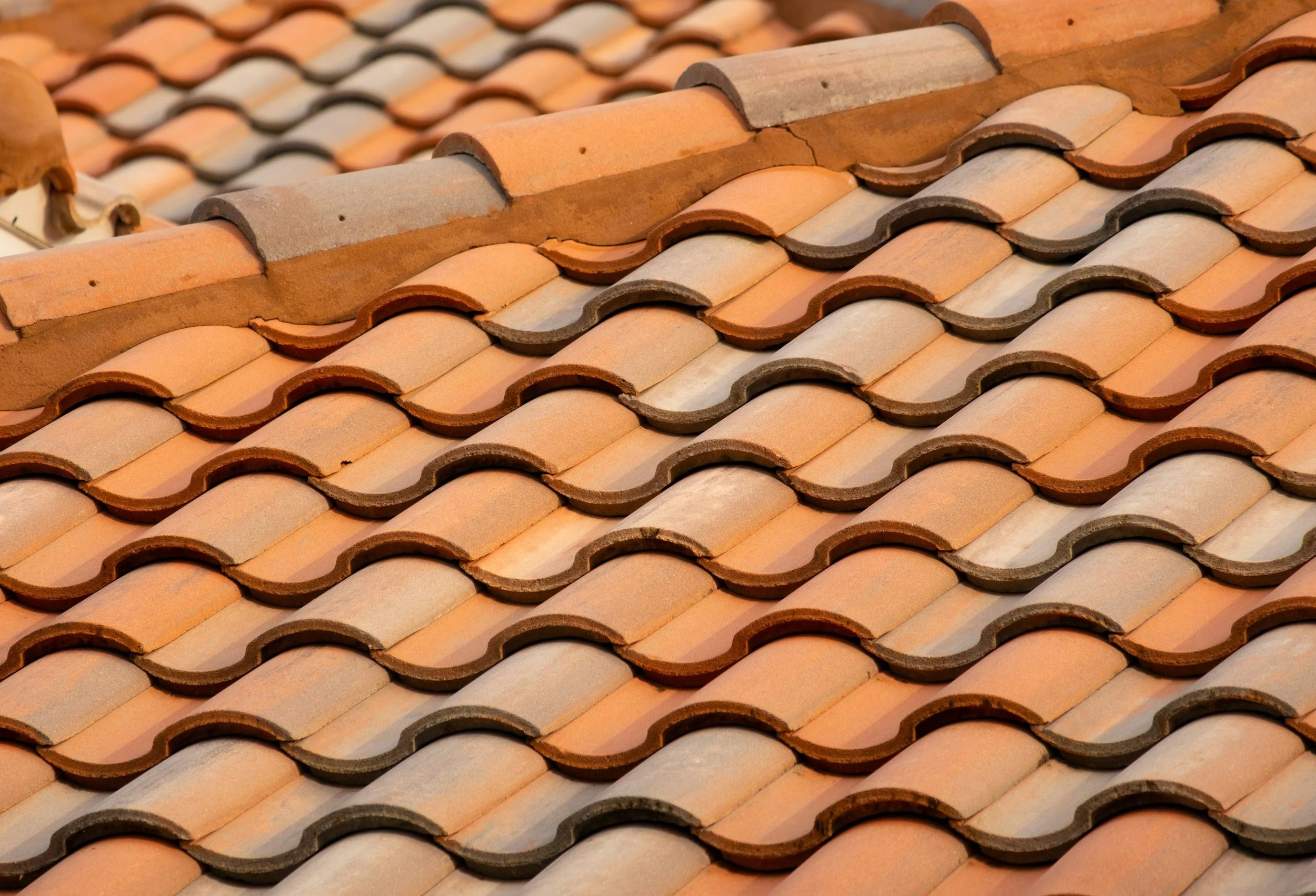 Roof Cleaning 101: Protecting Your Home from Damage and Extending Roof Life