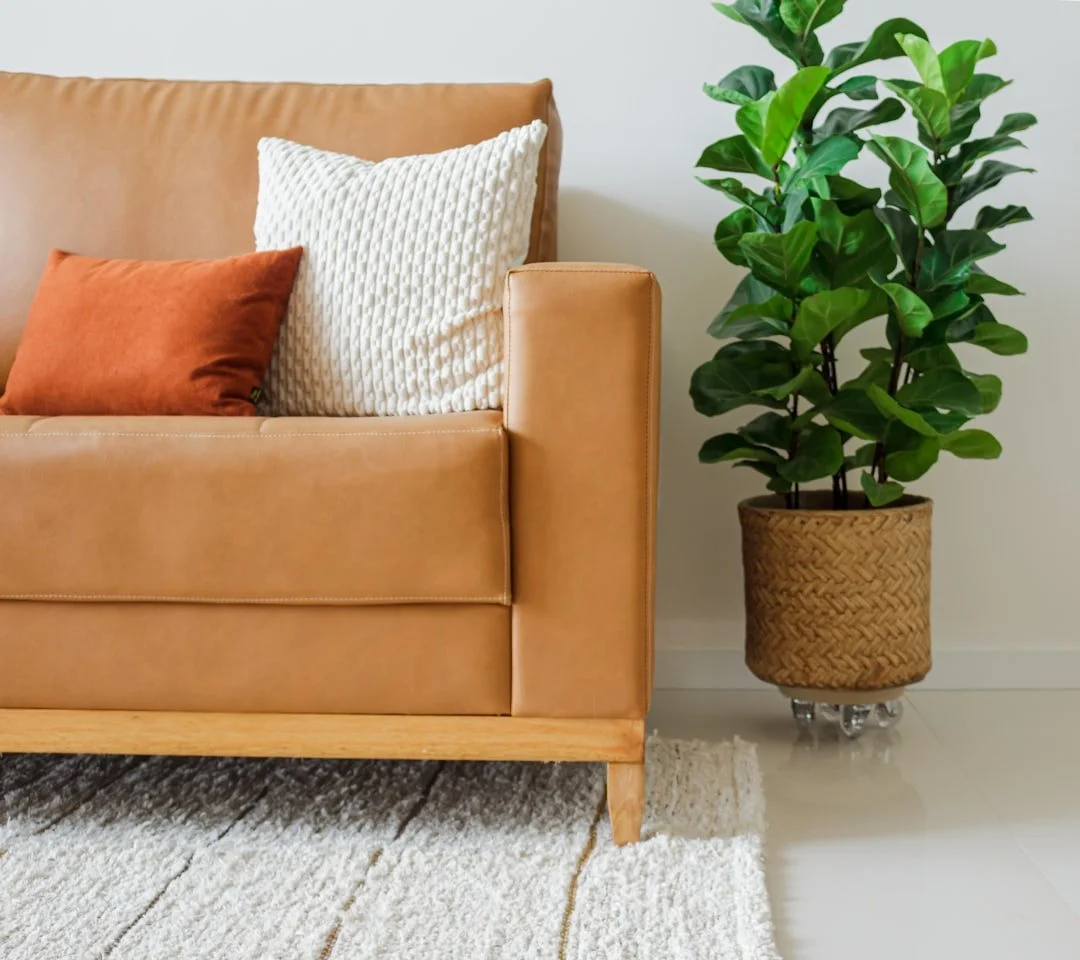 Transform Your Home: Ideas for Style, Comfort, and Functionality