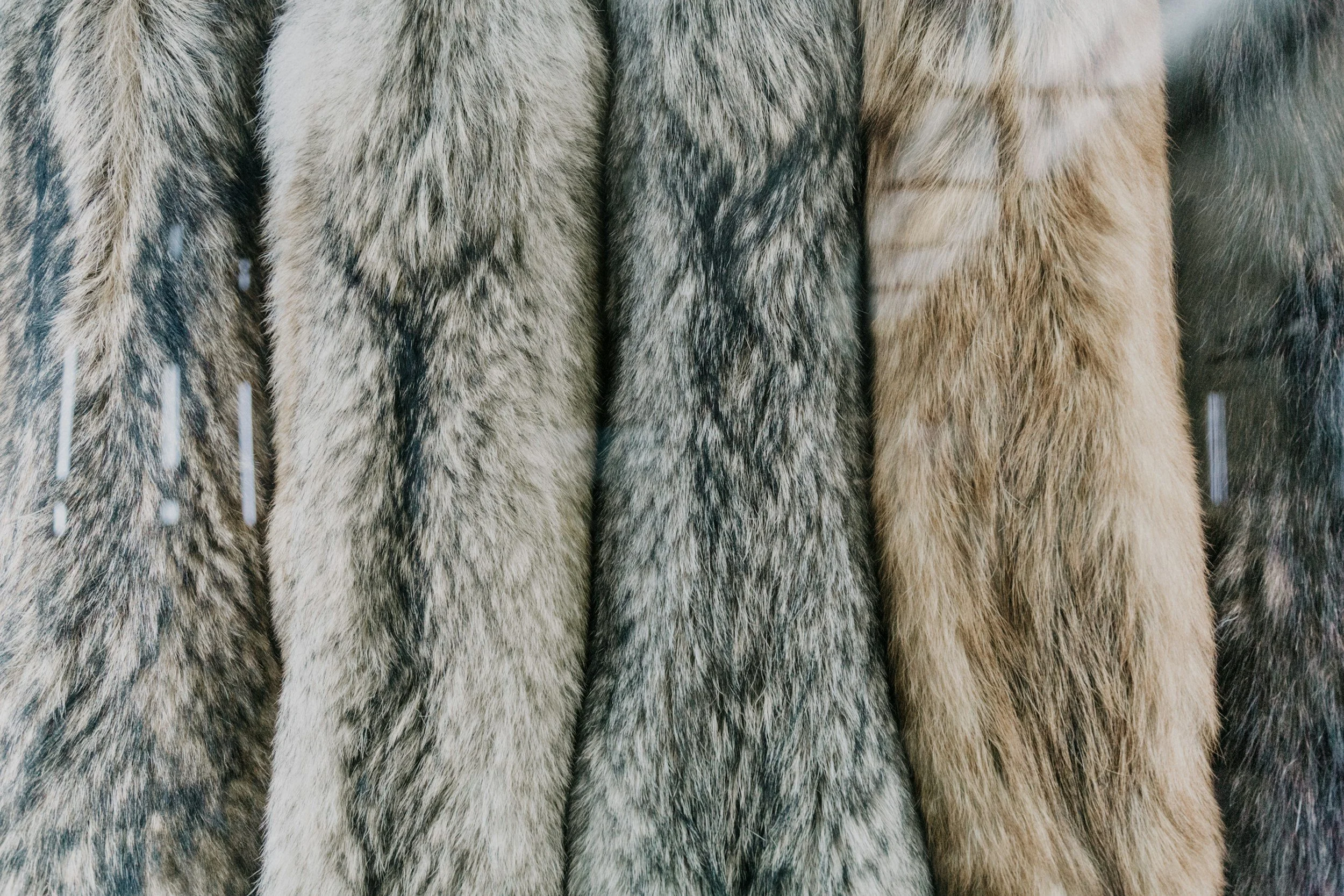 Fur Isn’t Back—It’s Breaking Down:  Inside an industry in terminal decline