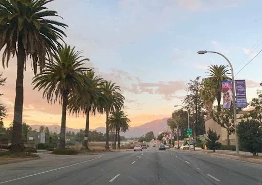 Los Angeles Travel Guide: What to Do When You Have Time but No Place for Your Bags