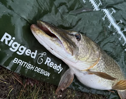 How to Find the Best Travel Fishing Rod Among All Travel Fishing Rods on the Market