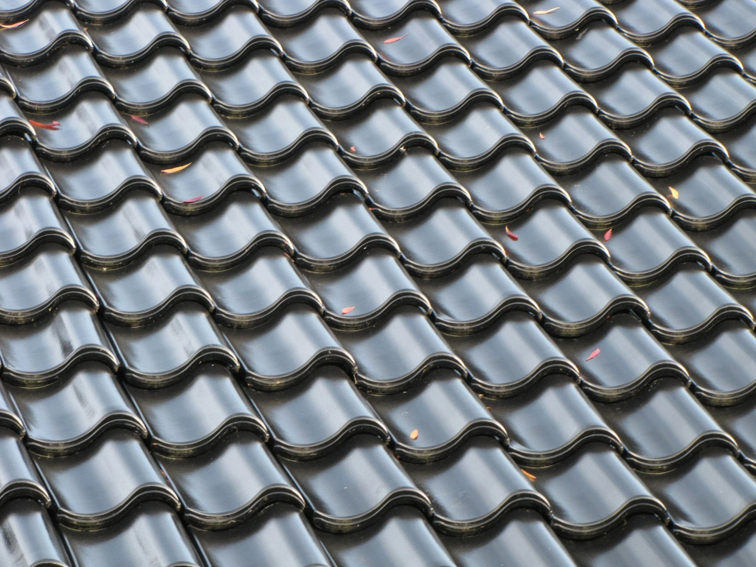 Elevating Your Exterior: Why Roofing Is the New Curb Appeal
