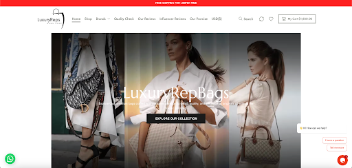 Best Website to Buy Replica Bags Online in 2026: My Honest Review About LuxuryRepBags 
