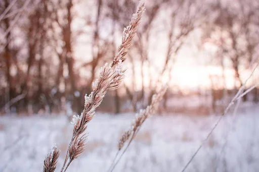 Why People Pay More Attention to Weather During the Winter Season