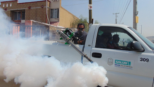 The Subtle Role of Pest Prevention in Protecting Long-Term Property Value