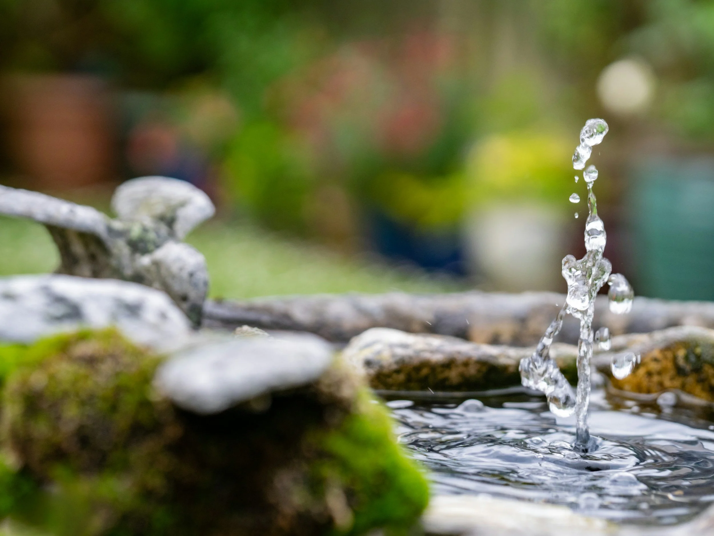 Designing and Maintaining Water Features for Long-Lasting Outdoor Appeal