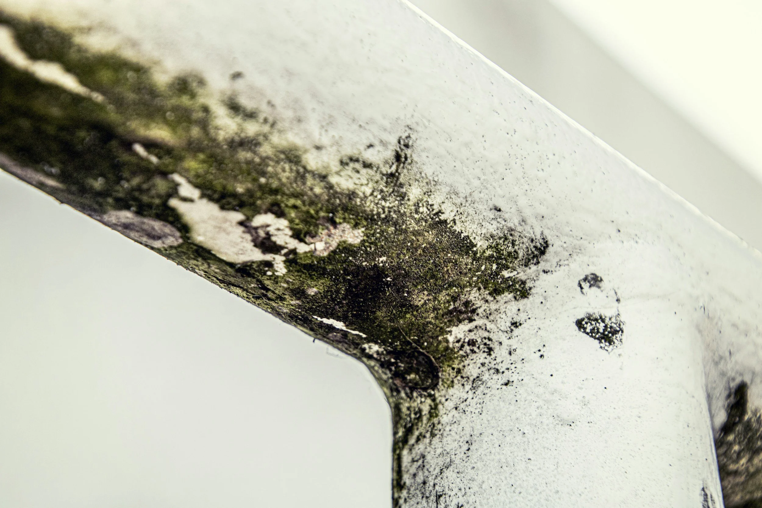 Mold Testing: Complete Guide to Indoor Air Safety, Detection Methods, and Prevention Strategies