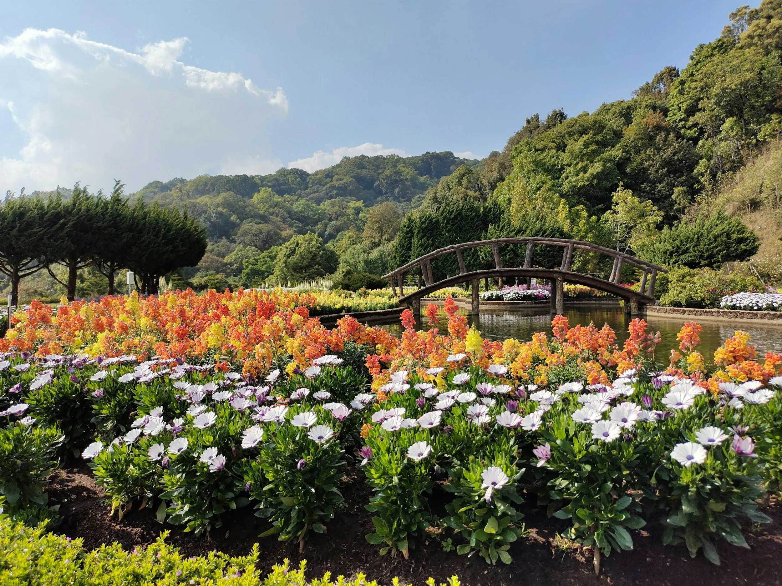 Choosing the Right Mulch Supplier for Healthy and Beautiful Landscapes