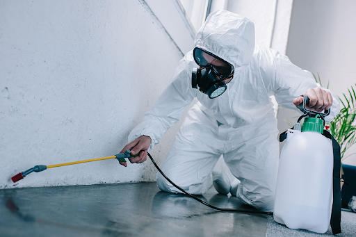 Why Smart Homeowners Trust Professional Pest Control