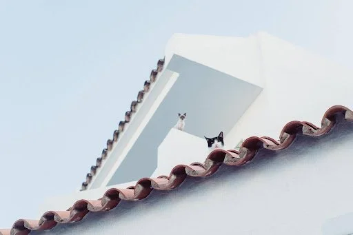 Protect Your Home With a Pre-Travel Roof Inspection