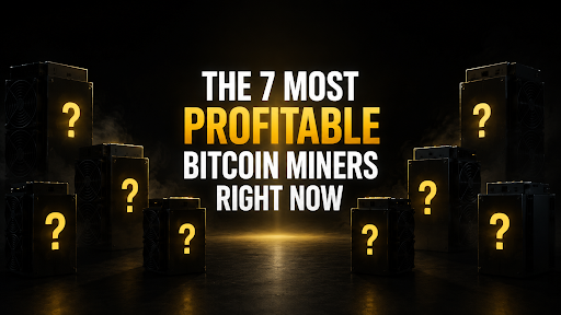 The 7 Most Profitable Bitcoin Miners Right Now
