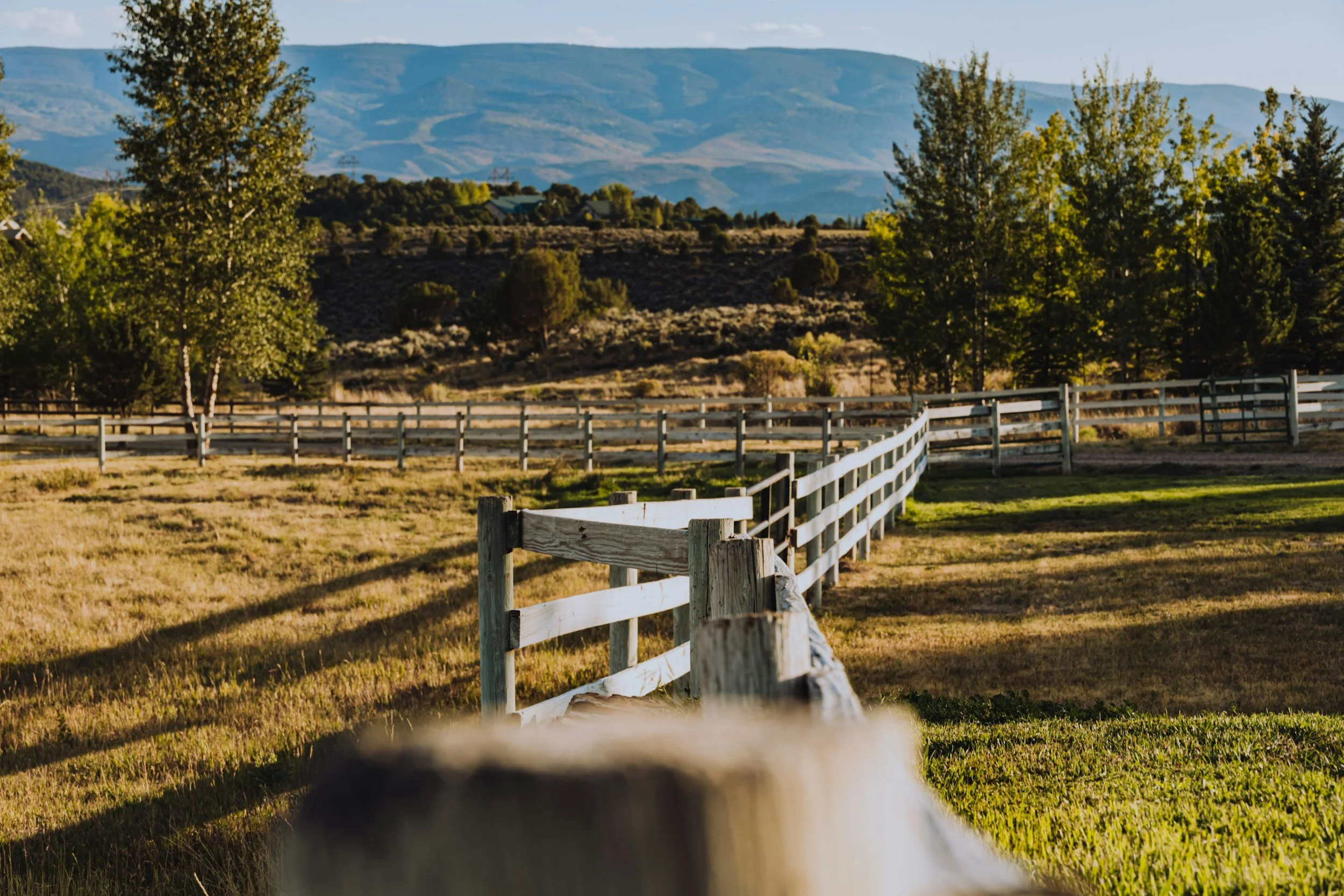 What Makes a Ranch Retreat Different From a Standard Vacation?