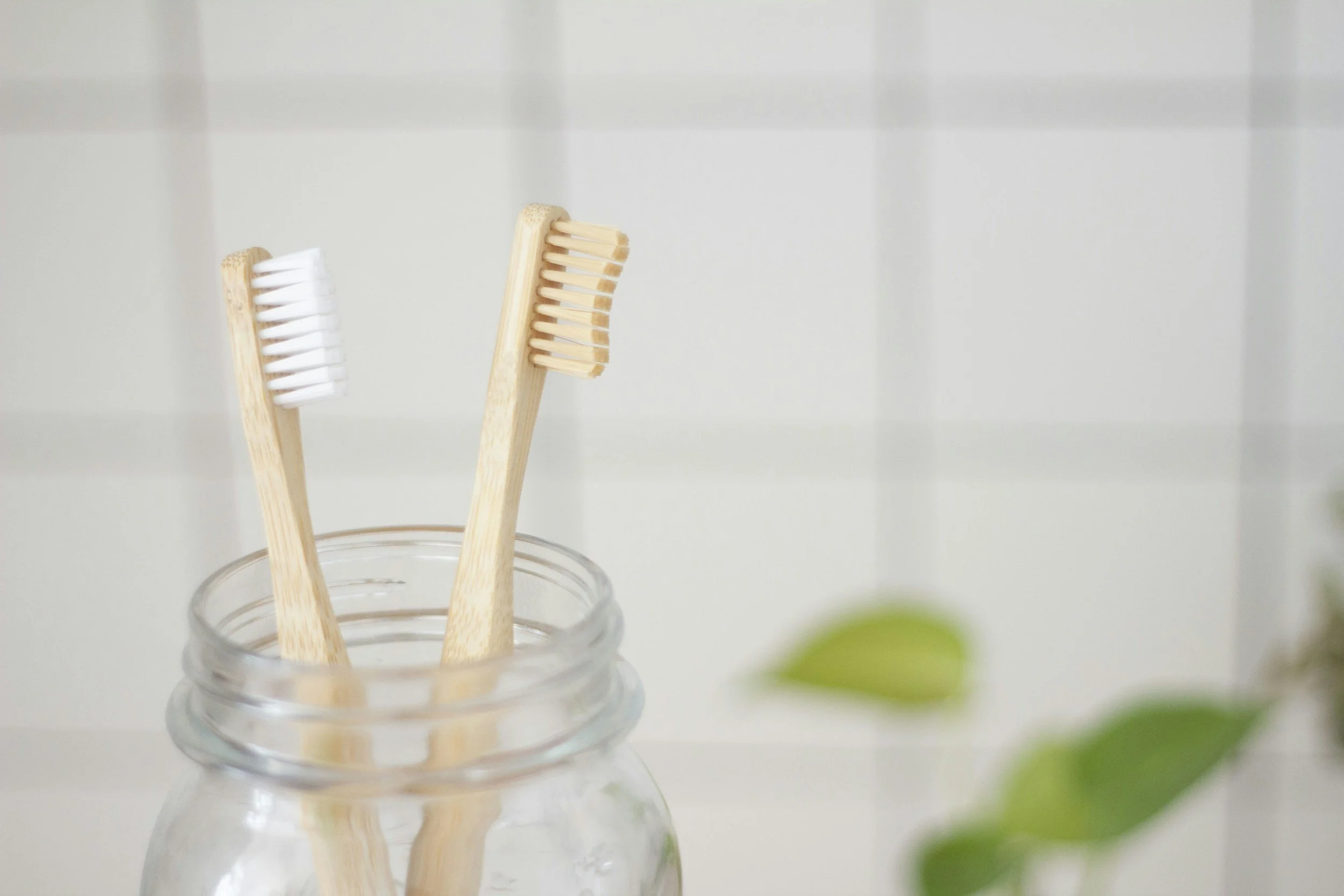 How Preventative Dental Care Builds Lifelong Health Habits