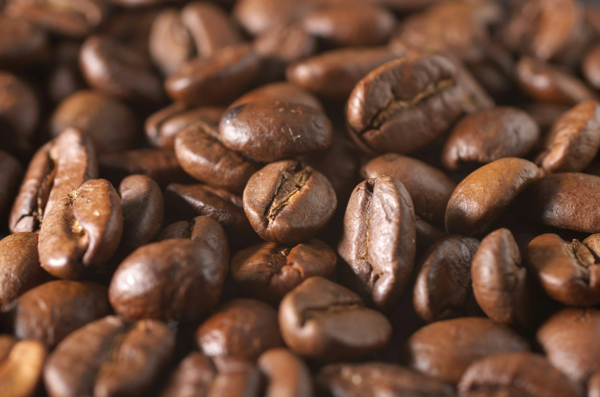 What to Look for When Buying Organic Coffee?