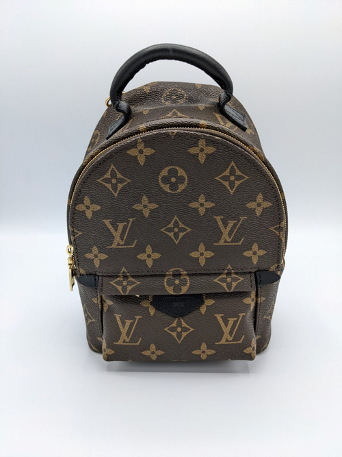 2022 In Review: The Louis Vuitton Palm Springs Mini Backpack