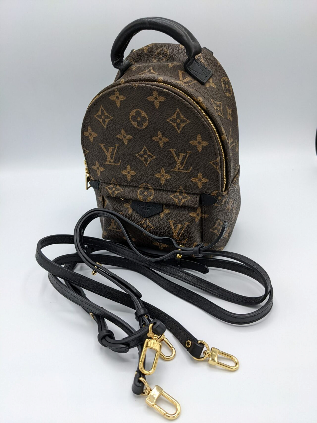 vuitton palm springs backpack