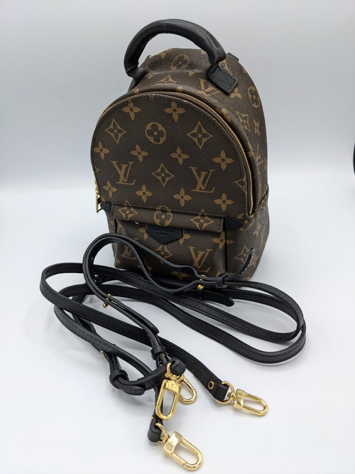 LOUIS VUITTON PALM SPRINGS MINI BACKPACK- HOW TO WEAR IT, DETAILS