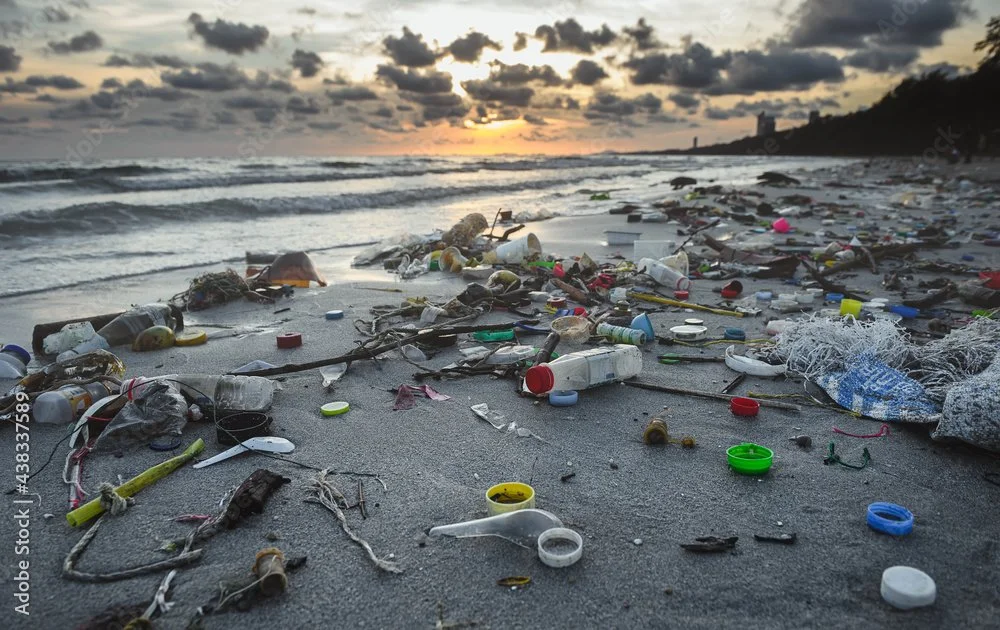 Fashion's Plastic Problem: The Urgent Need for Real Change