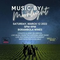 Music by Moonlight in support of Riding for the Disabled 