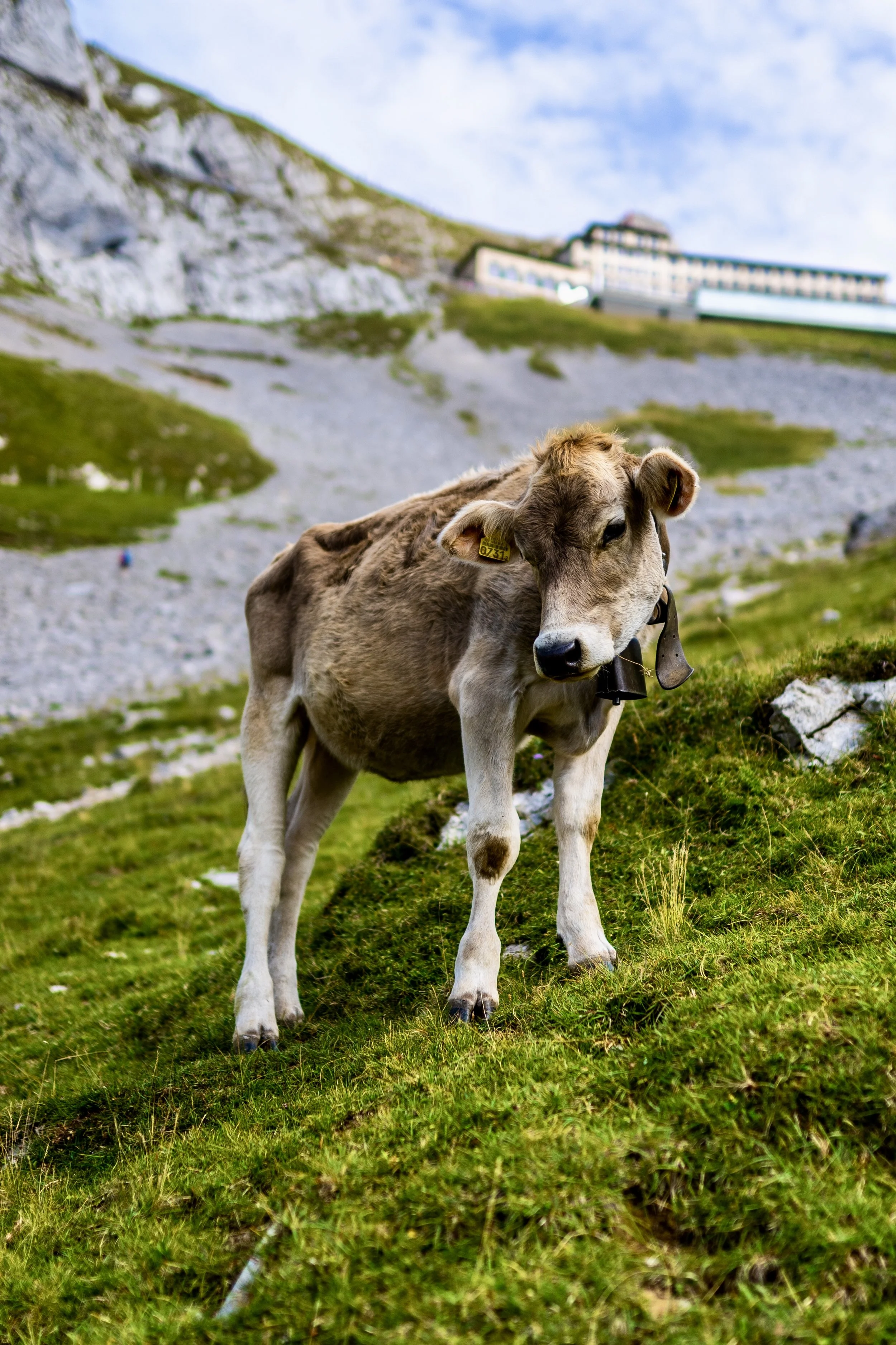 Switzerland-64.jpg