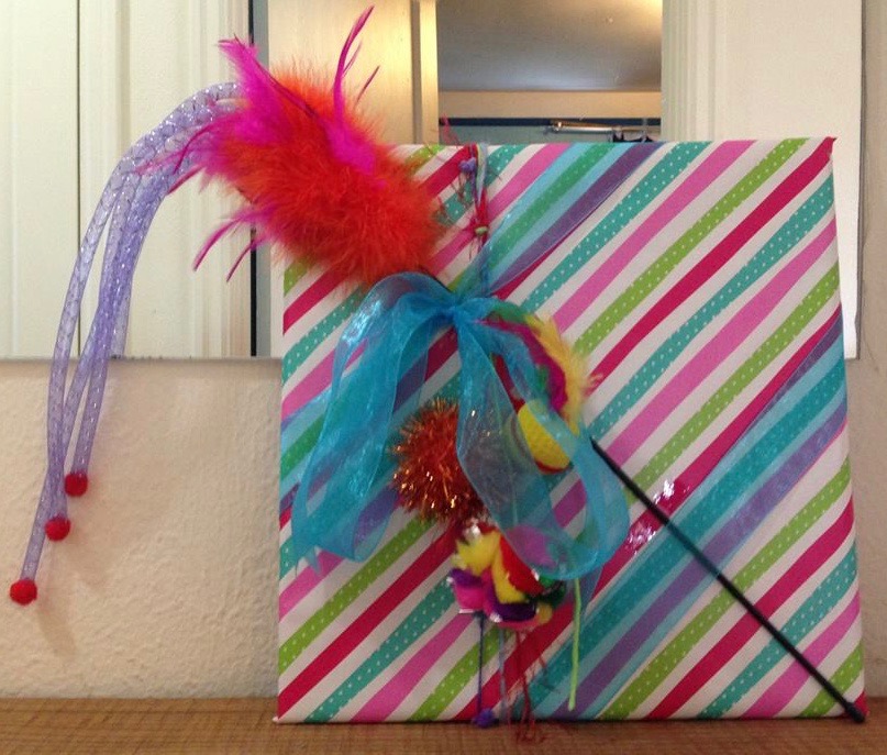 How to Wrap a Gift for a Cat Person